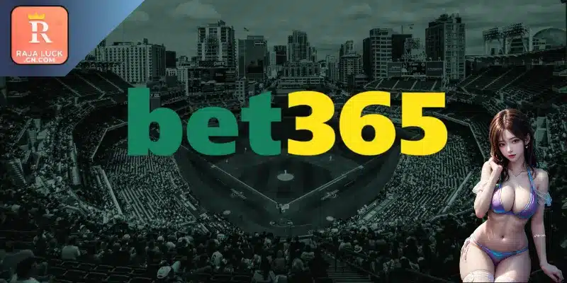 Detailed introduction to the Bet365 betting system