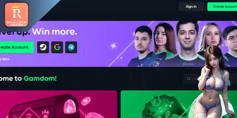 General information about the Gamdom casino